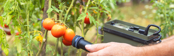 Come Si Gestiscono Le Radiazioni Negli Alimenti Video