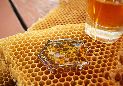 Analisi patogeni e residui in api e miele